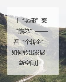 “老熊”变“熊总”——看“个转企”如何转出发展新空间