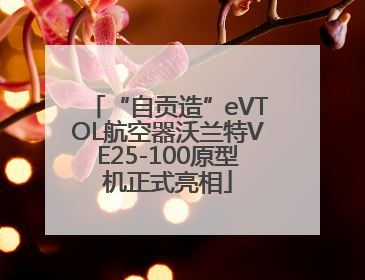 “自贡造”eVTOL航空器沃兰特VE25-100原型机正式亮相