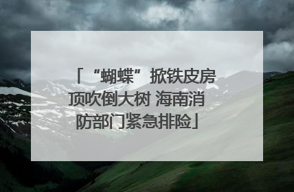 “蝴蝶”掀铁皮房顶吹倒大树 海南消防部门紧急排险