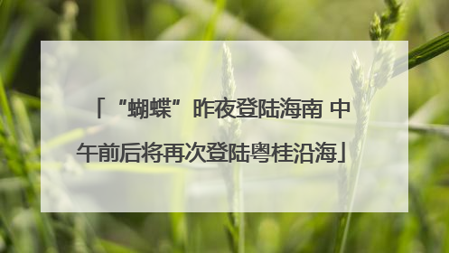 “蝴蝶”昨夜登陆海南 中午前后将再次登陆粤桂沿海