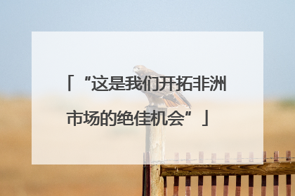 “这是我们开拓非洲市场的绝佳机会”
