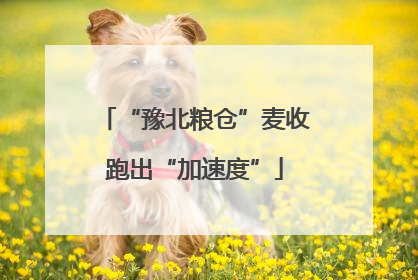 “豫北粮仓”麦收跑出“加速度”