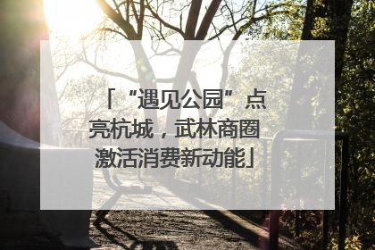 “遇见公园”点亮杭城，武林商圈激活消费新动能