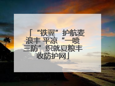 “铁翼”护航麦浪丰 平凉“一喷三防”织就夏粮丰收防护网