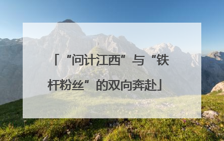 “问计江西”与“铁杆粉丝”的双向奔赴