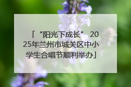 “阳光下成长” 2025年兰州市城关区中小学生合唱节顺利举办