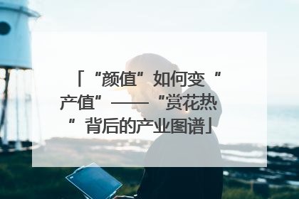“颜值”如何变“产值”——“赏花热”背后的产业图谱