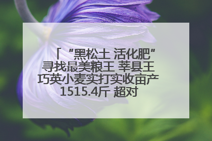 “黑松土 活化肥”寻找最美粮王 莘县王巧英小麦实打实收亩产1515.4斤 超对照田144斤！