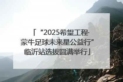 “2025希望工程·蒙牛足球未来星公益行”临沂站选拔圆满举行