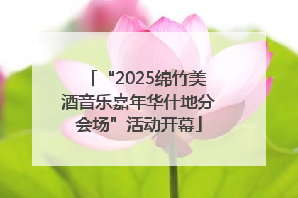 “2025绵竹美酒音乐嘉年华什地分会场”活动开幕