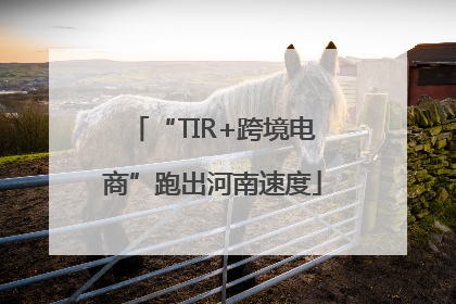 “TIR+跨境电商”跑出河南速度