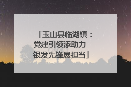 玉山县临湖镇：党建引领添助力 银发先锋展担当