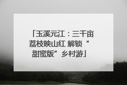 玉溪元江：三千亩荔枝映山红 解锁“甜蜜版”乡村游
