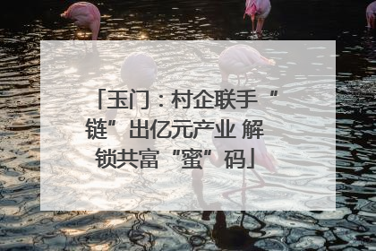 玉门：村企联手“链”出亿元产业 解锁共富“蜜”码