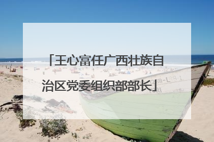 王心富任广西壮族自治区党委组织部部长