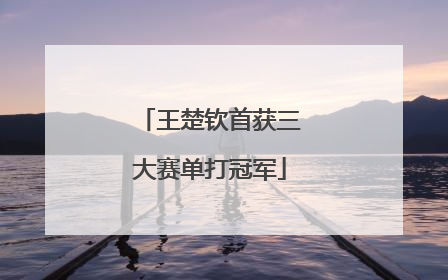 王楚钦首获三大赛单打冠军