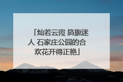 灿若云霞 旖旎迷人 石家庄公园的合欢花开得正艳