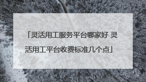 灵活用工服务平台哪家好 灵活用工平台收费标准几个点