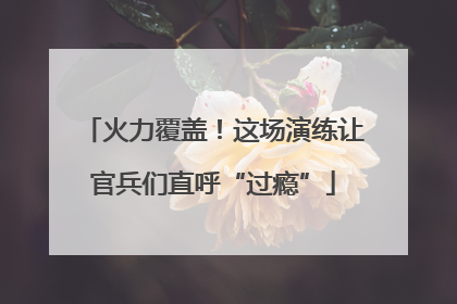 火力覆盖！这场演练让官兵们直呼“过瘾”