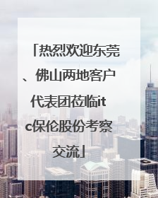 热烈欢迎东莞、佛山两地客户代表团莅临itc保伦股份考察交流