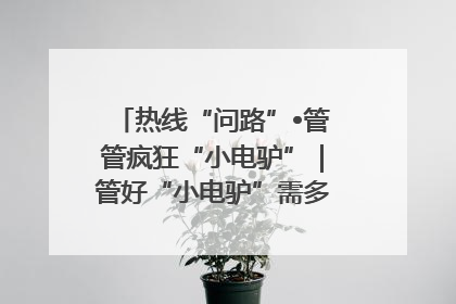 热线“问路”•管管疯狂“小电驴”｜管好“小电驴”需多部门形成合力