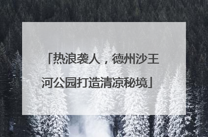 热浪袭人，德州沙王河公园打造清凉秘境