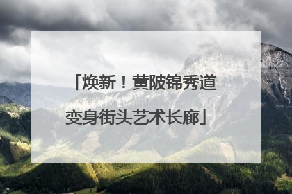 焕新！黄陂锦秀道变身街头艺术长廊