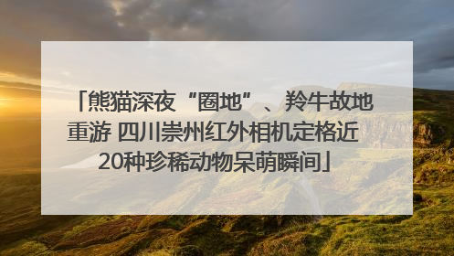 熊猫深夜“圈地”、羚牛故地重游 四川崇州红外相机定格近20种珍稀动物呆萌瞬间