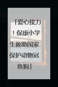 爱心接力！保康小学生救助国家保护动物冠鱼狗