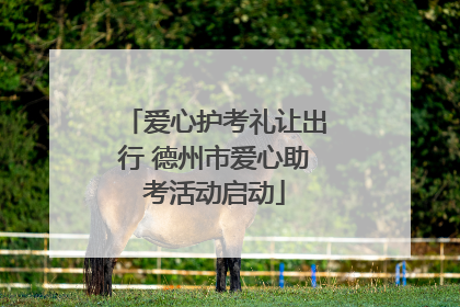 爱心护考礼让出行 德州市爱心助考活动启动