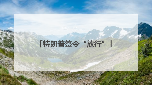 特朗普签令“放行”