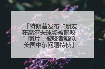 特朗普发布“朋友在高尔夫球场被鹅咬”照片，被咬者疑似美国中东问题特使