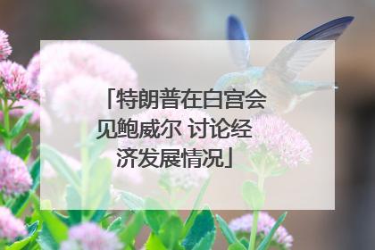 特朗普在白宫会见鲍威尔 讨论经济发展情况