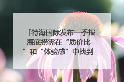 特海国际发布一季报 海底捞需在“质价比”和“体验感”中找到平衡｜新经济观察