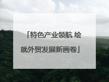 特色产业领航 绘就外贸发展新画卷