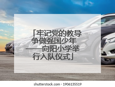 牢记党的教导 争做强国少年——向阳小学举行入队仪式