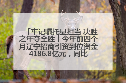 牢记嘱托显担当 决胜之年夺全胜丨今年前四个月辽宁招商引资到位资金4186.8亿元，同比增长17.4%
