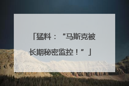 猛料：“马斯克被长期秘密监控！”