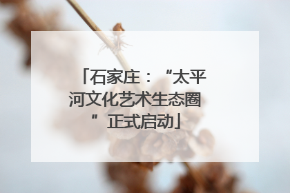 石家庄：“太平河文化艺术生态圈”正式启动