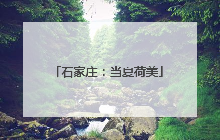 石家庄：当夏荷美