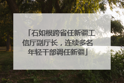 石如根跨省任新疆工信厅副厅长，连续多名年轻干部调任新疆