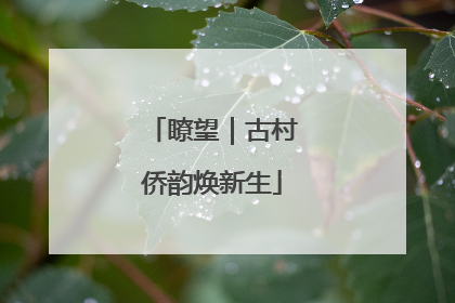 瞭望｜古村侨韵焕新生