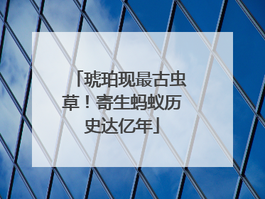 琥珀现最古虫草！寄生蚂蚁历史达亿年