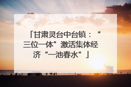 甘肃灵台中台镇：“三位一体”激活集体经济“一池春水”
