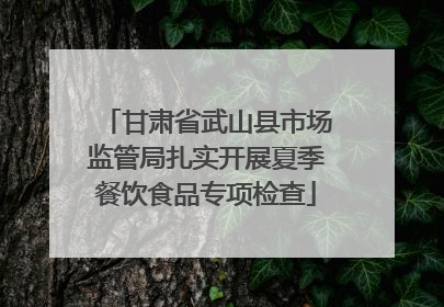 甘肃省武山县市场监管局扎实开展夏季餐饮食品专项检查