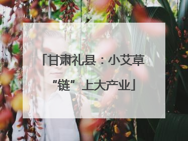 甘肃礼县：小艾草“链”上大产业