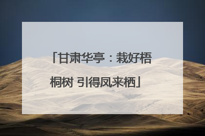 甘肃华亭：栽好梧桐树 引得凤来栖