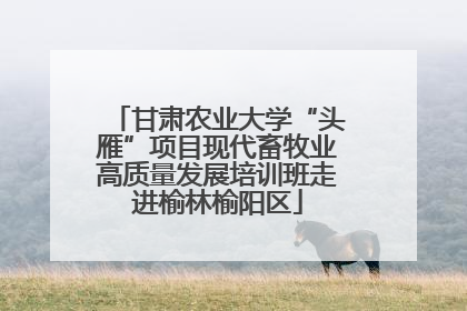 甘肃农业大学“头雁”项目现代畜牧业高质量发展培训班走进榆林榆阳区