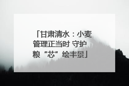 甘肃清水：小麦管理正当时 守护粮“芯”绘丰景