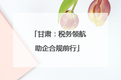 甘肃：税务领航 助企合规前行